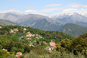 vico